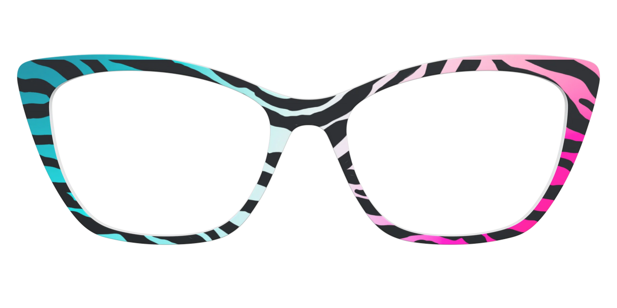 The Rainbow Zebra