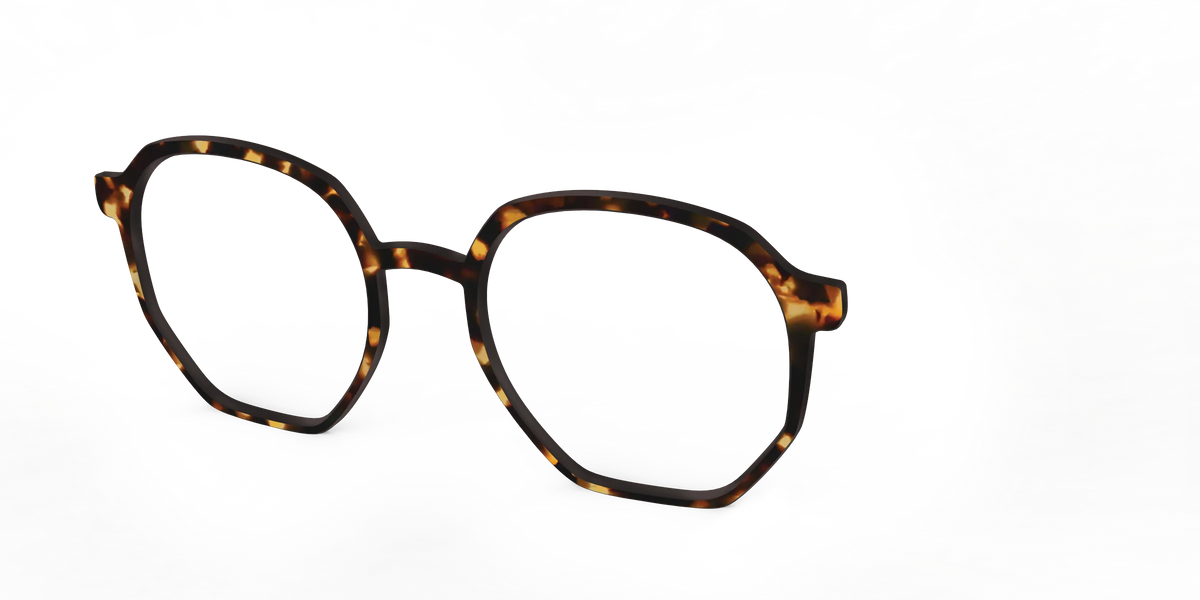 The Tortoise