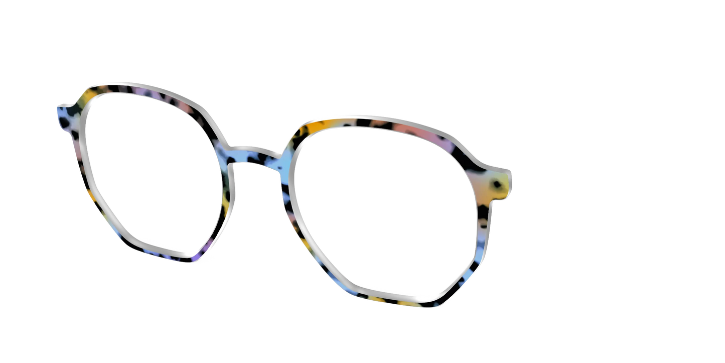 The Positano Tortoise