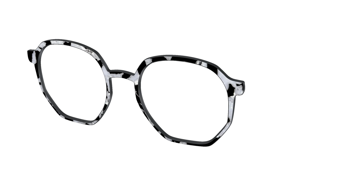 The Black & White Pearl Tortoise