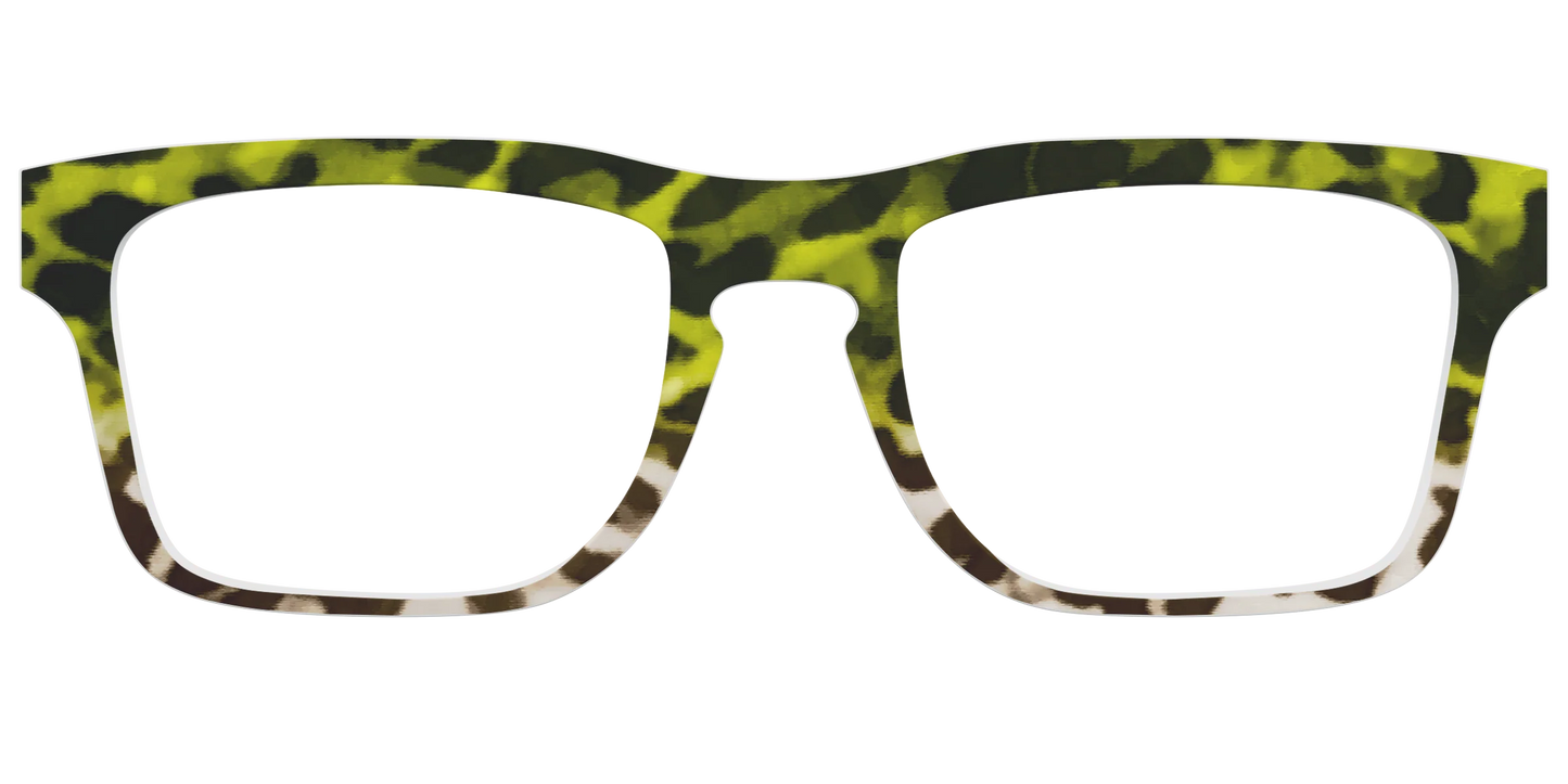 The Avocado to Ivory Tortoise