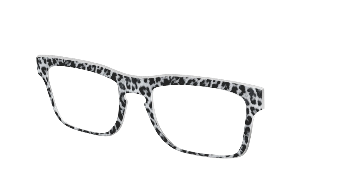 The Snow Leopard Spots