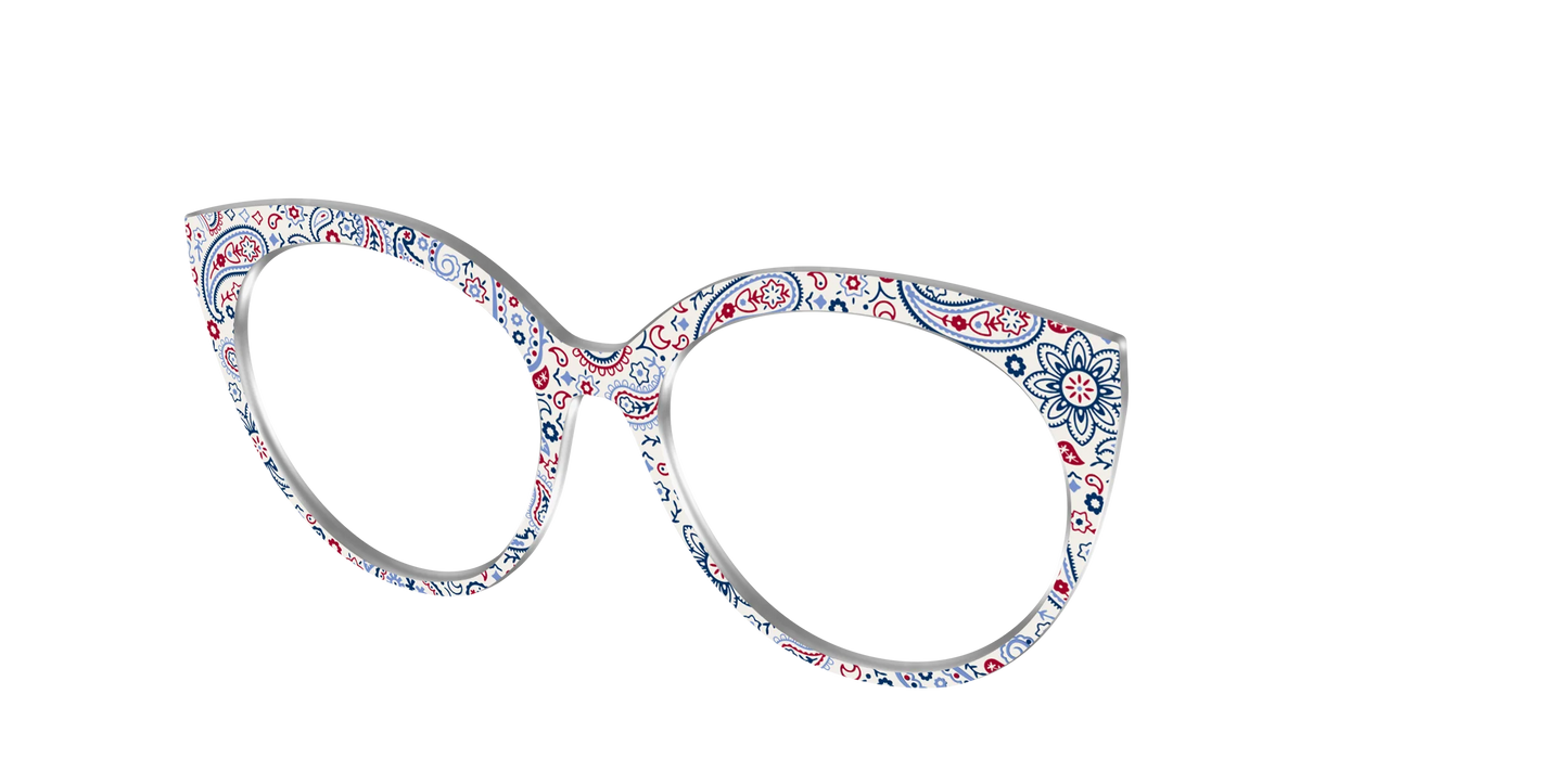 The Picnic Paisley