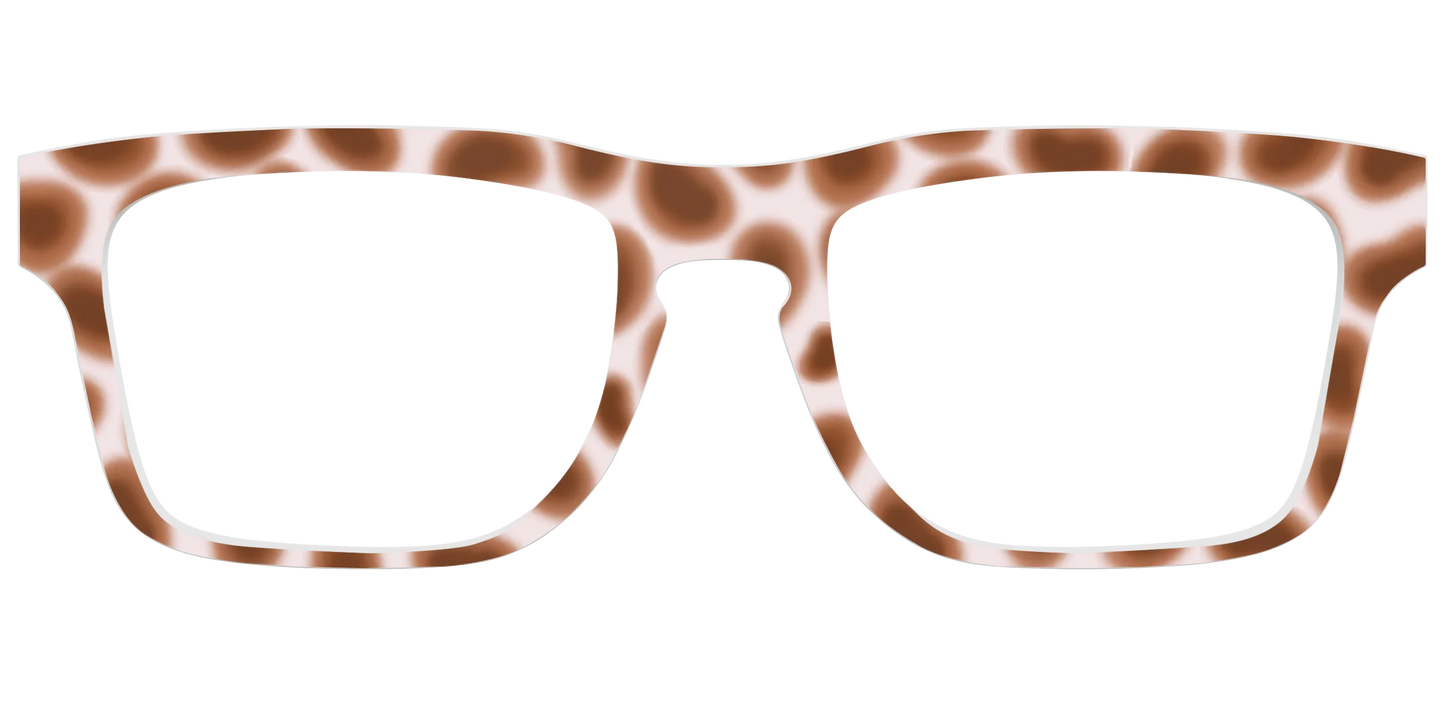 The Caffé Tortoise