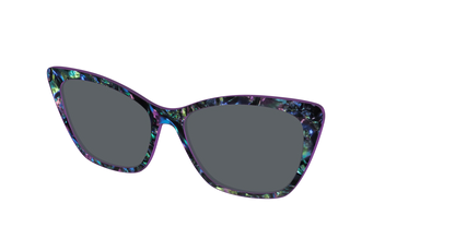 The Polarized Abalone Sun Top