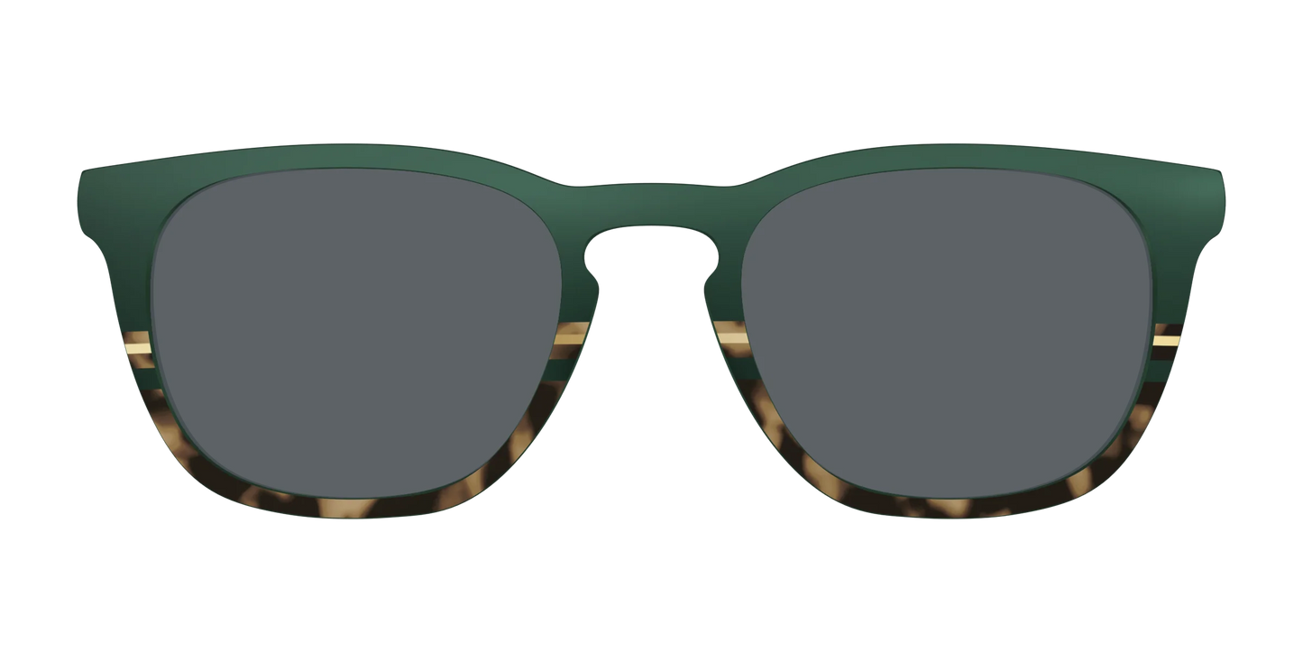 The Polarized Spruce Tortoise Sun Top
