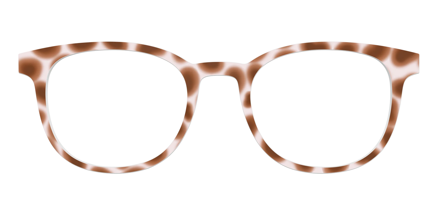 The Caffé Tortoise
