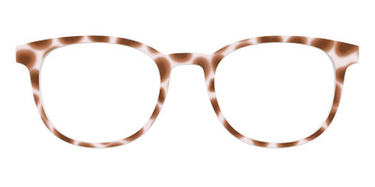 The Caffé Tortoise