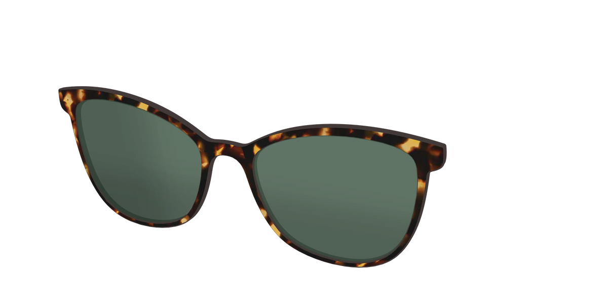 The Non-Polarized Green Tortoise Sun Top