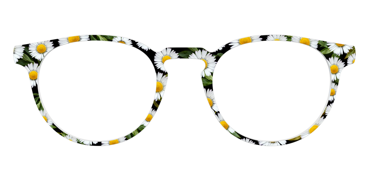 The Delicate Daisies