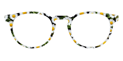 The Delicate Daisies