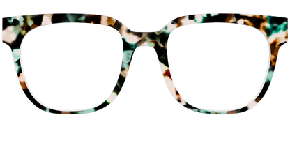 The Twilight Tortoise