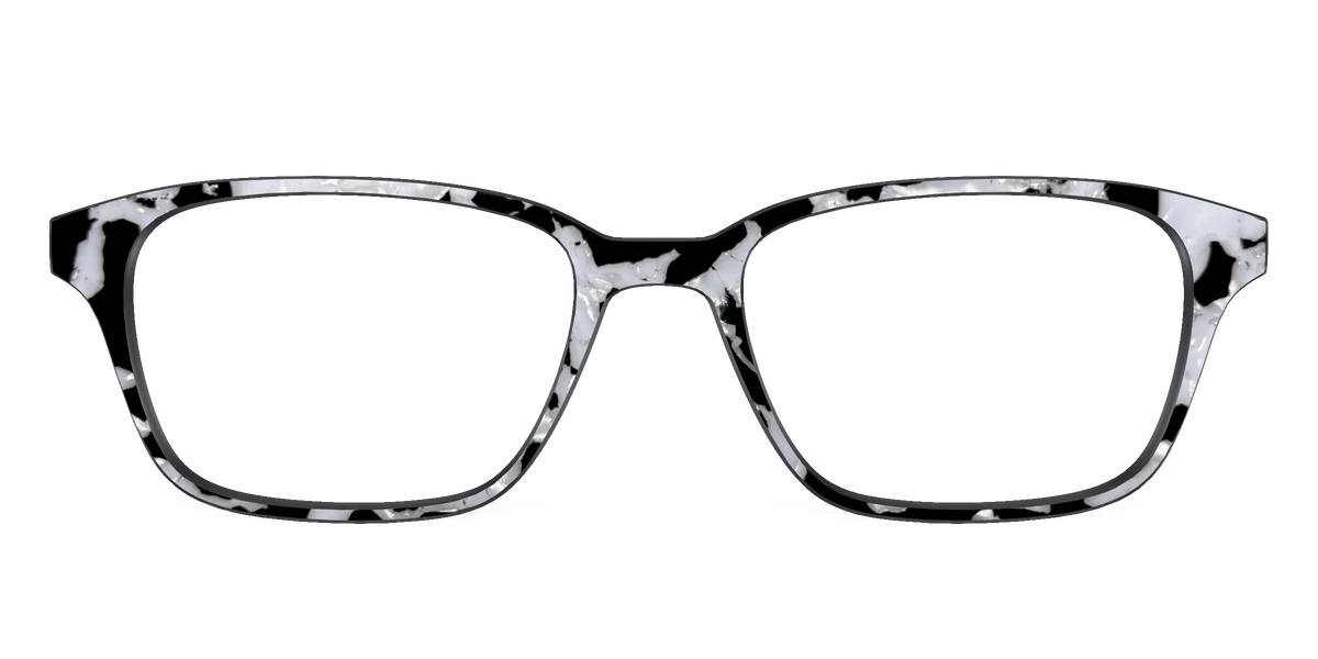 The Black & White Pearl Tortoise