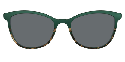 The Polarized Spruce Tortoise Sun Top