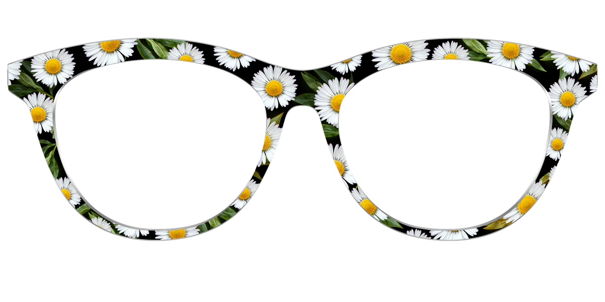 The Delicate Daisies