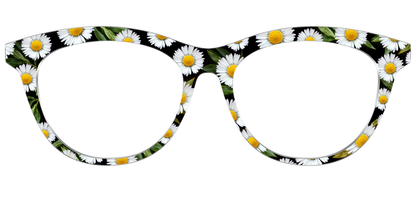 The Delicate Daisies