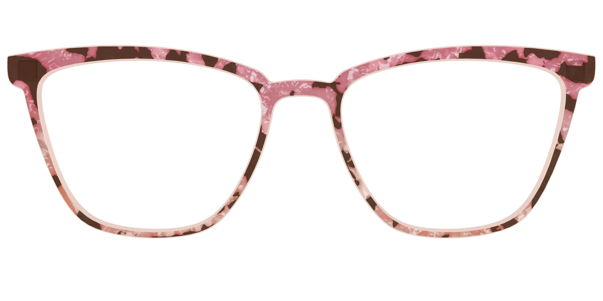 The Pale Peach Pearl Tortoise