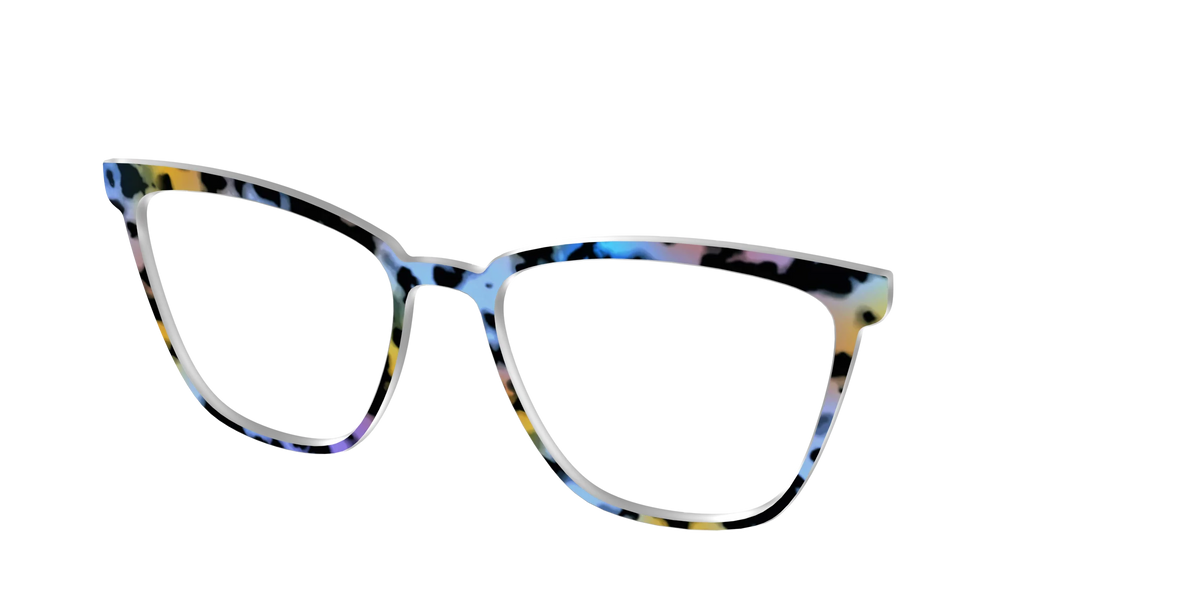 The Positano Tortoise