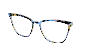 The Positano Tortoise