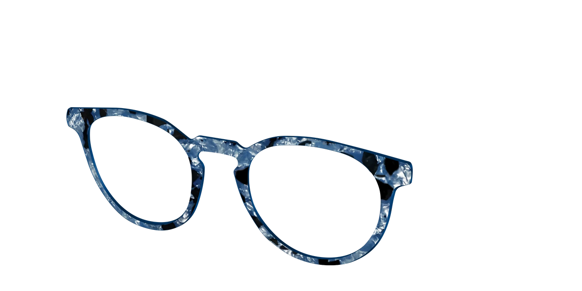 The Midnight Blue Pearl Tortoise