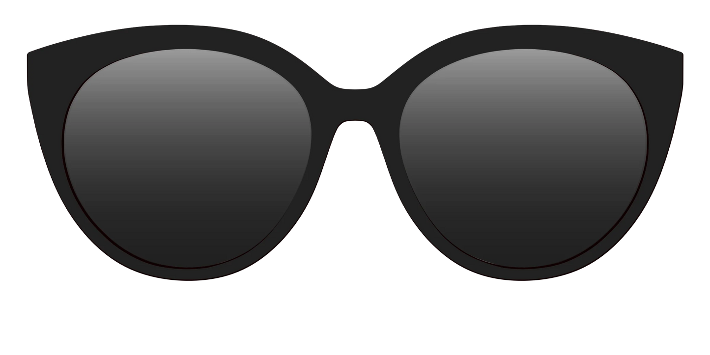 The Polarized Black Sun Top