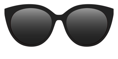 The Polarized Black Sun Top