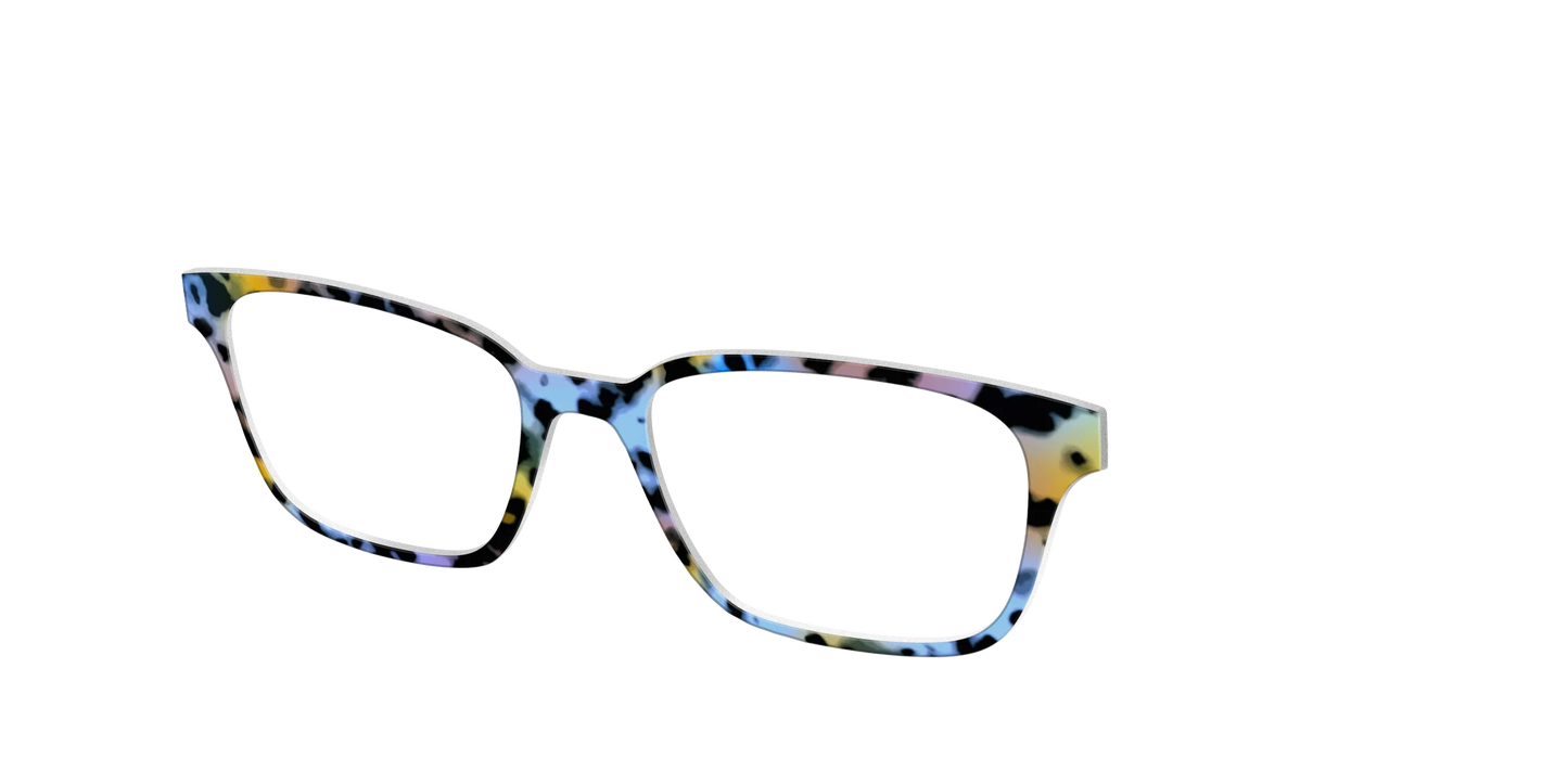 The Positano Tortoise
