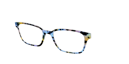 The Positano Tortoise