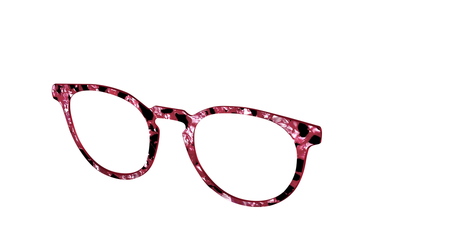 The Raspberry Pearl Tortoise
