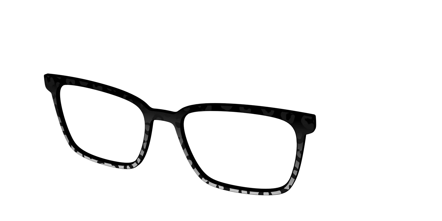 The Black Cheetah