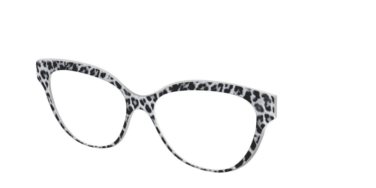 The Snow Leopard Spots