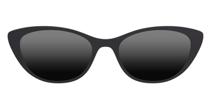 The Polarized Black Sun Top