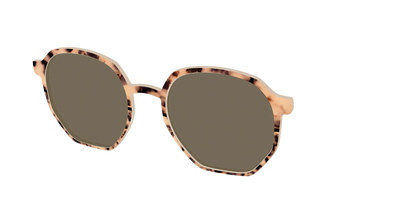 The Polarized Bisque Tortoise Split Sun Top