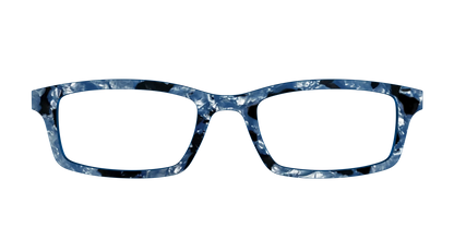 The Midnight Blue Pearl Tortoise