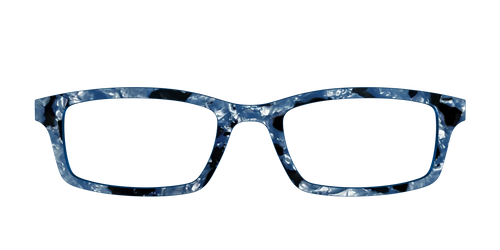 The Midnight Blue Pearl Tortoise
