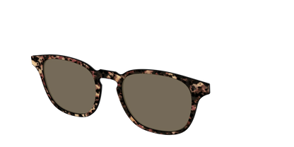 The Polarized Sienna Tortoise Sun Top