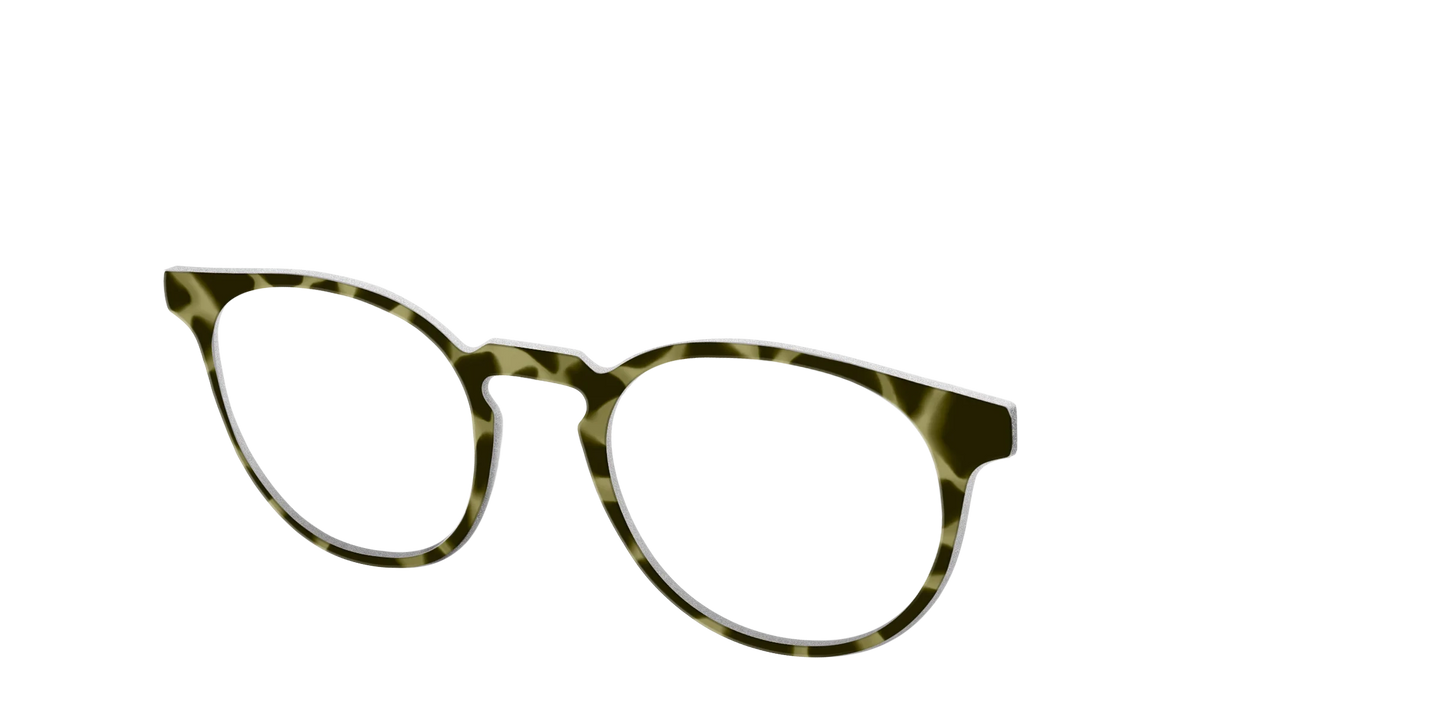The Olive Tortoise