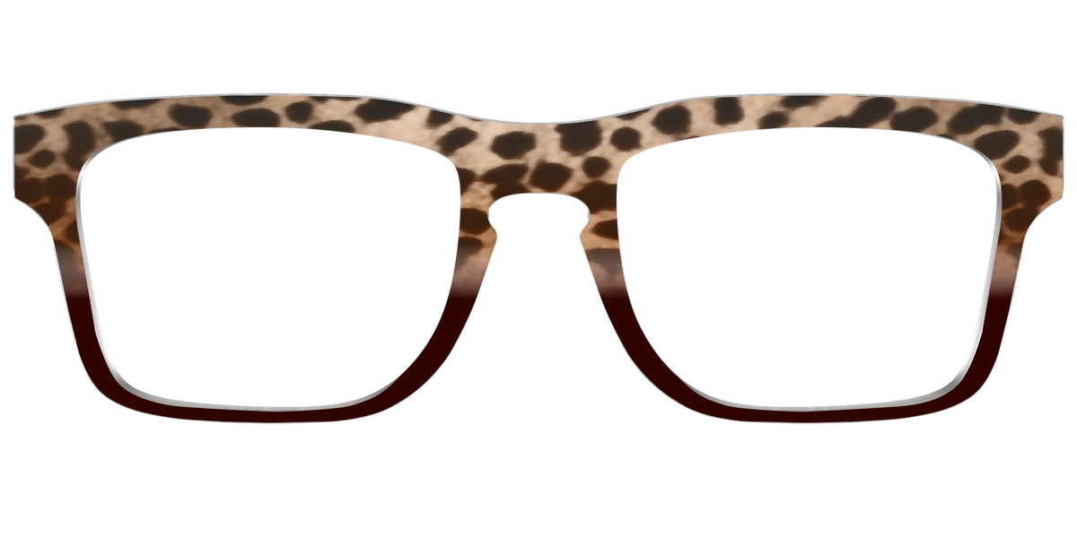 The Jungle Cat Tortoise