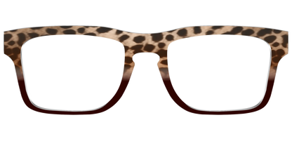 The Jungle Cat Tortoise