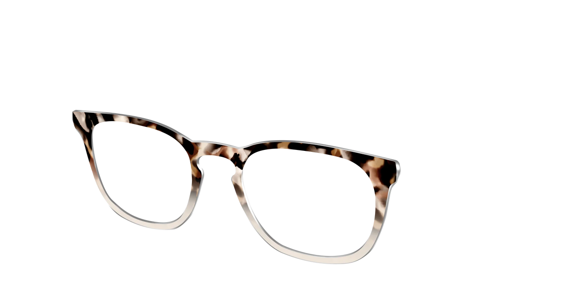 The Vanilla Latte Tortoise