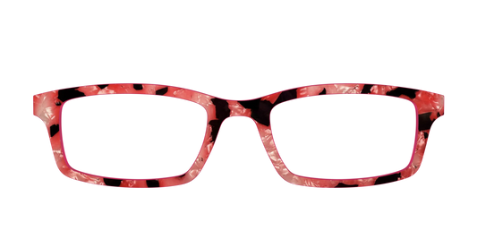 The Red Agate Pearl Tortoise