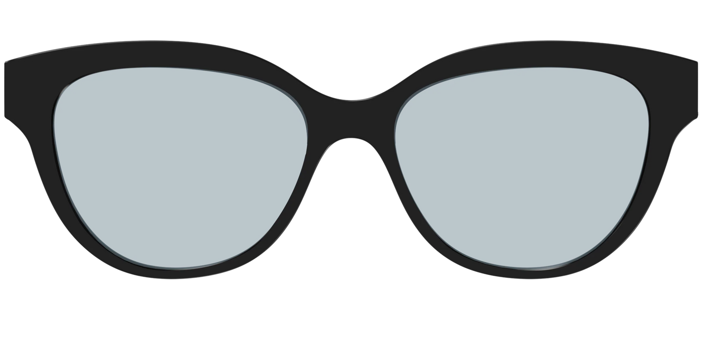 The Black With Slate Blue Lens