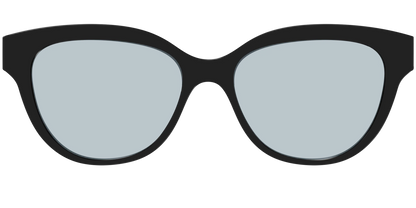 The Black With Slate Blue Lens