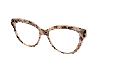 The Almond Tortoise with Gold Streaks