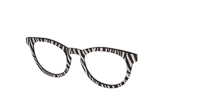 The Zebra Stripes