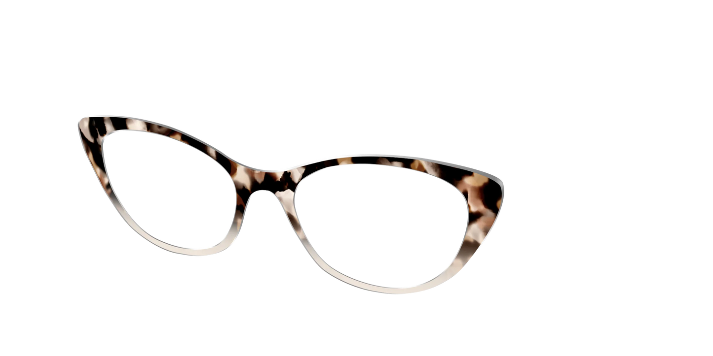 The Vanilla Latte Tortoise