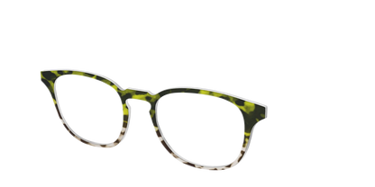 The Avocado to Ivory Tortoise