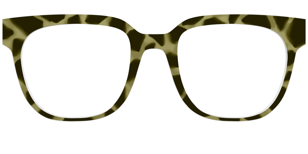 The Olive Tortoise