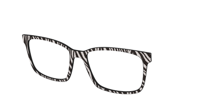 The Zebra Stripes