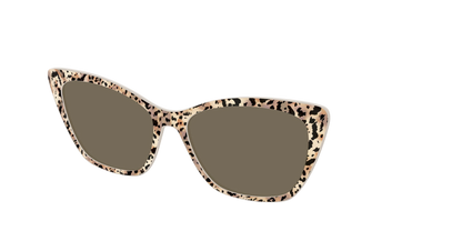 The Polarized Wild Cat Sun Top
